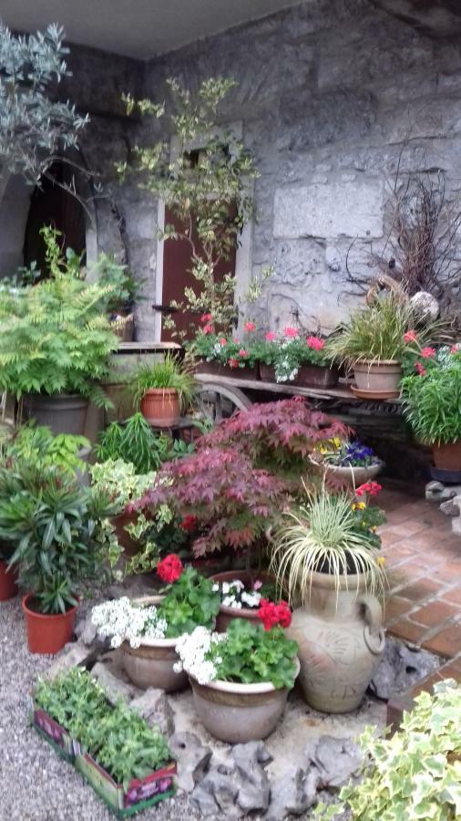 Dutovlje Apartmaji Pri Zivcovih מראה חיצוני תמונה