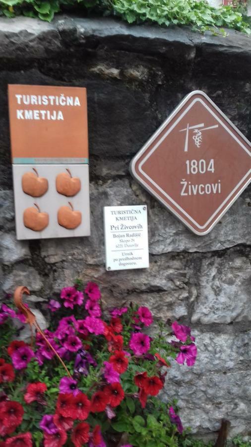 Dutovlje Apartmaji Pri Zivcovih מראה חיצוני תמונה